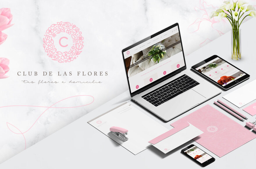Diseño web- Agencia de Diseño en Monterrey